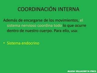 COORDINACIÓN INTERNA
Además de encargarse de los movimientos, el
sistema nervioso coordina todo lo que ocurre
dentro de nuestro cuerpo. Para ello, usa:
• Sistema endocrino
 