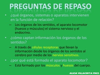 • ¿qué órganos, sistemas o aparatos intervienen
en la función de relación?
– Los órganos de los sentidos, el aparato locomotor
(huesos y músculos) el sistema nervioso y el
endocrino.
• ¿cómo captan información los órganos de los
sentidos?
– A través de células receptoras que llevan la
información desde los órganos de los sentidos al
cerebro por medio de los nervios sensitivos.
• ¿por qué está formado el aparato locomotor?
– Está formado por los músculos y huesos del cuerpo.
 
