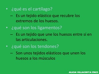 • ¿qué es el cartílago?
– Es un tejido elástico que recubre los
extremos de los huesos.
• ¿qué son los ligamentos?
– Es un tejido que une los huesos entre sí en
las articulaciones.
• ¿qué son los tendones?
– Son unos tejidos elásticos que unen los
huesos a los músculos
 