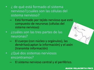 • ¿ de qué está formado el sistema
nervioso?¿cuáles son las células del
sistema nervioso?
– Está formado por tejido nervioso que está
compuesto de neuronas (células del
sistema nervioso)
• ¿cuáles son las tres partes de las
neuronas?
– El cuerpo (con núcleo y orgánulos), las
dendritas(captan la información) y el axón
(transmite información)
• ¿Qué dos sistemas nerviosos
encontramos?
– El sistema nervioso central y el periférico.
 