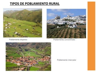 Poblamiento disperso Poblamiento concentrado
Poblamiento intercalar
TIPOS DE POBLAMIENTO RURAL
 