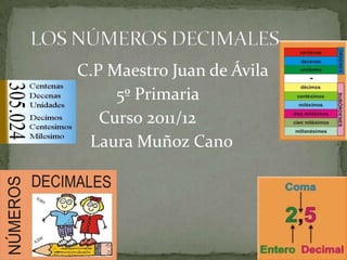 C.P Maestro Juan de Ávila
     5º Primaria
   Curso 2011/12
 Laura Muñoz Cano
 