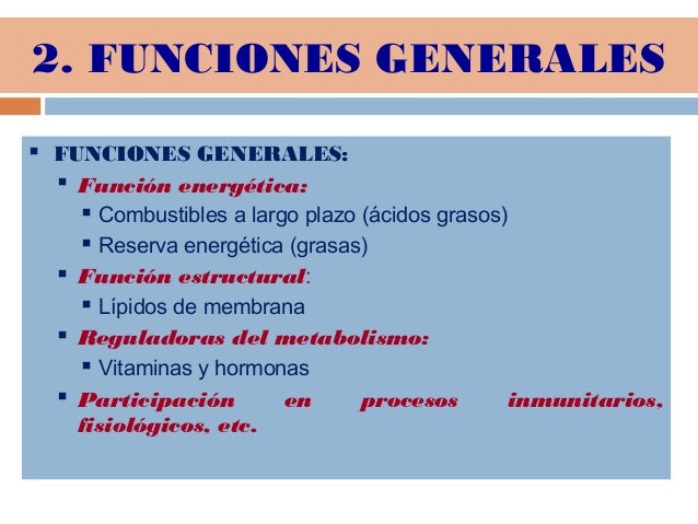 Tema 3 lipidos