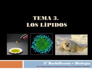 TEMA 3.
LOS LÍPIDOS
2º Bachillerato – Biología
http://biologiageologiaiessantaclarabelenruiz.wordpress.com/2o-bachillerato/2o-biologia/
 