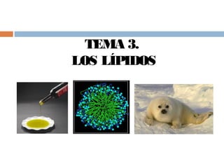 TEMA 3.
LOS LÍPIDOS
2º Bachillerato - Biología
 