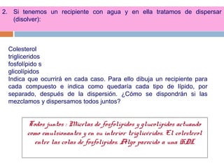 Todos juntos : Micelas de fosfolípidos y glucolípidos actuando
como emulsionantes y en su interior triglicéridos. El colesterol
entre las colas de fosfolipidos. Algo parecido a una HDL
2. Si tenemos un recipiente con agua y en ella tratamos de dispersar
(disolver):
Colesterol
trigliceridos
fosfolípido s
glicolípidos
Indica que ocurrirá en cada caso. Para ello dibuja un recipiente para
cada compuesto e indica como quedaría cada tipo de lípido, por
separado, después de la dispersión. ¿Cómo se dispondrán si las
mezclamos y dispersamos todos juntos?
 