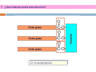 7. ¿Qué molécula tendrá esta estructura?
 