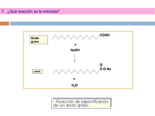 7. ¿Qué reacción es la indicada?
 