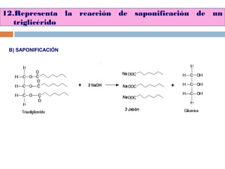 12.Representa la reacción de saponificación de un
triglicérido
B) SAPONIFICACIÓN
 