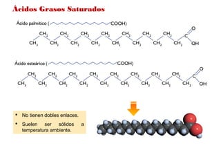  No tienen dobles enlaces.
 Suelen  ser  sólidos  a 
temperatura ambiente.
Ácidos Grasos Saturados
 