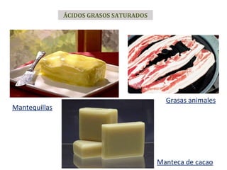 ÁCIDOS GRASOS SATURADOS
Mantequillas
Grasas animales
Manteca de cacao
 