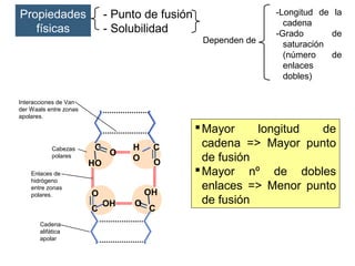Propiedades 
físicas
- Punto de fusión
- Solubilidad
Dependen de 
-Longitud  de  la 
cadena
-Grado  de 
saturación 
(número  de 
enlaces 
dobles)
O
CH
O
HO
C
O
C
O
OHO
OH
C
Interacciones de Van 
der Waals entre zonas 
apolares.
Enlaces de 
hidrógeno 
entre zonas 
polares.
Cabezas 
polares
Cadena 
alifática 
apolar
Mayor  longitud  de 
cadena  =>  Mayor  punto 
de fusión
Mayor  nº  de  dobles 
enlaces  =>  Menor  punto 
de fusión
 