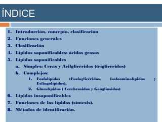 ÍNDICE
1. Introducción, concepto, clasificación
2. Funciones generales
3. Clasificación
4. Lípidos saponificables: ácidos grasos
5. Lípidos saponificables
a. Simples: Ceras y Acilglicéridos (triglicéridos)
b. Complejos:
1. Fosfolípidos (Fosfoglicéridos, fosfoaminolípidos y
Esfingolípidos).
2. Glucolípidos ( Cerebrosidos y Gangliosidos)
6. Lípidos insaponificables
7. Funciones de los lípidos (síntesis).
8. Métodos de identificación.
 