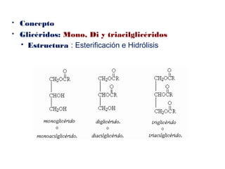  Concepto
 Glicéridos: Mono, Di y triacilglicéridos
 Estructura : Esterificación e Hidrólisis
 