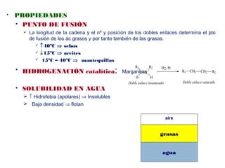  PROPIEDADES
 PUNTO DE FUSIÓN
 La longitud de la cadena y el nº y posición de los dobles enlaces determina el pto
de fusión de los ác grasos y por tanto también de las grasas.
 ↑40ºC ⇒ sebos
 ↓15ºC ⇒ aceites
 15ºC – 40ºC ⇒ mantequillas
 HIDROGENACIÓN catalítica: Margarinas
 SOLUBILIDAD EN AGUA
 ↑ Hidrofobia (apolares) ⇒ Insolubles
 Baja densidad ⇒ flotan
CH2R1
Doble enlace insaturado
C C
R1
H H
R2 H2, Pt
CH2 R2
Doble enlace saturado
aire
grasas
agua
 