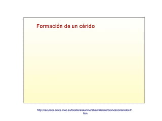 http://recursos.cnice.mec.es/biosfera/alumno/2bachillerato/biomol/contenidos11.
htm
 