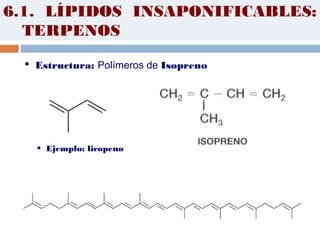  Estructura: Polímeros de Isopreno
 Ejemplo: licopeno
6.1. LÍPIDOS INSAPONIFICABLES:
TERPENOS
 