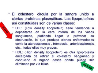  El colesterol circula por la sangre unido a
ciertas proteínas plasmáticas. Las lipoproteínas
así constituidas son de varias clases:
 LDL: (Low density lipoprotein) tiene tendencia a
depositarse en la cara interna de los vasos
sanguíneos, pudiendo llegar a provocar su
obstrucción, lo que produce ciertas enfermedades
como la ateroesclerosis , trombosis,  arterioesclerosis
etc... todas ellas muy graves.
 HDL: (High density lipoprotein) es otra lipoproteína
encargada de retirar el colesterol sanguíneo y
conducirlo al hígado desde donde puede ser
eliminado por vía biliar.
M
ALO
BUENO
 