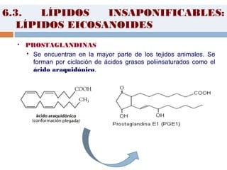 6.3. LÍPIDOS INSAPONIFICABLES:
LÍPIDOS EICOSANOIDES
 PROSTAGLANDINAS
 Se encuentran en la mayor parte de los tejidos animales. Se
forman por ciclación de ácidos grasos poliinsaturados como el
ácido araquidónico.
 
