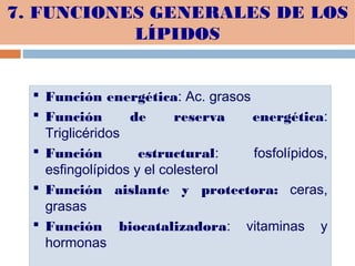 7. FUNCIONES GENERALES DE LOS
LÍPIDOS
 Función energética: Ac. grasos
 Función de reserva energética:
Triglicéridos
 Función estructural: fosfolípidos,
esfingolípidos y el colesterol
 Función aislante y protectora: ceras,
grasas
 Función biocatalizadora: vitaminas y
hormonas
 Función energética: Ac. grasos
 Función de reserva energética:
Triglicéridos
 Función estructural: fosfolípidos,
esfingolípidos y el colesterol
 Función aislante y protectora: ceras,
grasas
 Función biocatalizadora: vitaminas y
hormonas
 