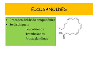EICOSANOIDES Proceden del ácido araquidónico Se distinguen: Leucotrienos Tromboxanos Prostaglandinas 