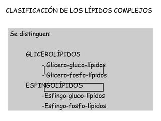 Se distinguen: GLICEROLÍPIDOS - Glicero-gluco-lípidos - Glicero-fosfo-lípidos ESFINGOLÍPIDOS -Esfingo-gluco-lípidos -Esfingo-fosfo-lípidos CLASIFICACIÓN DE LOS LÍPIDOS COMPLEJOS 