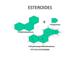 ESTEROIDES 