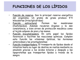 FUNCIONES DE LOS LÍPIDOS Función de reserva . Son la principal  reserva energética  del organismo. Un gramo de grasa produce 9'4 kilocalorías (triacilglicéridos) Función estructural . Forman las membranas (fosfolípidos). Además recubren órganos y le dan consistencia, o bien sirven de protección mecánica como el tejido adiposo de pies y las manos.  Función biocatalizadora . En este papel los lípidos favorecen o facilitan las reacciones químicas. Cumplen esta función las  vitaminas lipídicas , las  hormonas esteroideas  y las  prostaglandinas .  Función transportadora . El transporte de lípidos desde el intestino hasta su lugar de destino se realiza mediante su emulsión gracias a los ácidos biliares y después a las lipoproteínas que transportan lípidos a través de la sangre 