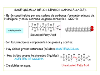 BASE QUÍMICA DE LOS LÍPIDOS SAPONIFICABLES Están constituidos por una cadena de carbonos formando enlaces de Hidrógeno  y en su extremo un grupo carboxilo (- COOH).  Son los principales componentes de grasas y aceites. Hay ácidos grasos saturados (sólidos)  MANTEQUILLAS Hay ácidos grasos insaturados (líquidos) ACEITES DE COCINA Insolubles en agua.                                                                                   
