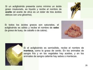 Si un acilglicérido presenta como mínimo un ácido
graso insaturado, es líquido y recibe el nombre de
aceite (el aceite de oliva es un éster de tres ácidos
oleicos con una glicerina).
Si todos los ácidos grasos son saturados, el
acilglicérido es sólido y recibe el nombre de sebo
(la grasa de buey, de caballo o de cabra).
Si el acilglicérido es semisólido, recibe el nombre de
manteca, como la grasa de cerdo. En los animales de
sangre fría y en los vegetales hay aceites, y en los
animales de sangre caliente hay sebos o mantecas.
26
 
