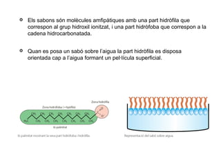  Els sabons són molècules amfipàtiques amb una part hidròfila que
correspon al grup hidroxil ionitzat, i una part hidròfoba que correspon a la
cadena hidrocarbonatada.
 Quan es posa un sabó sobre l’aigua la part hidròfila es disposa
orientada cap a l’aigua formant un pel·lícula superficial.
 