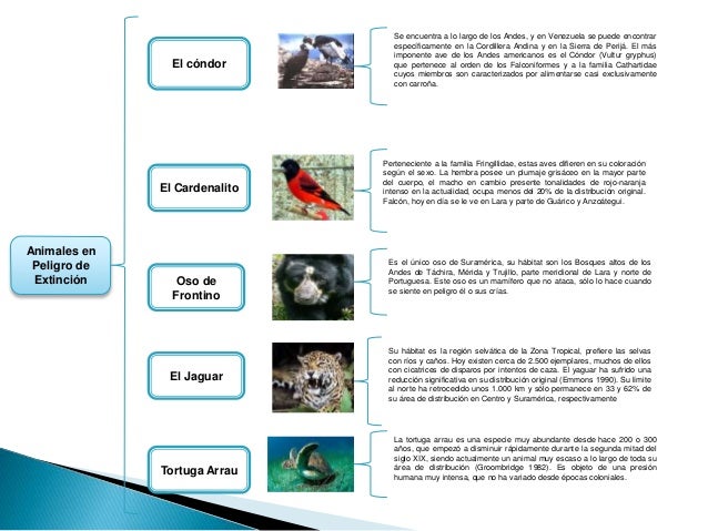 Tema 3 mapa mental cuadro sinoptico de animales peligro