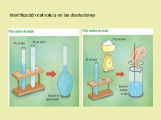 Identificación del soluto en las disoluciones
 