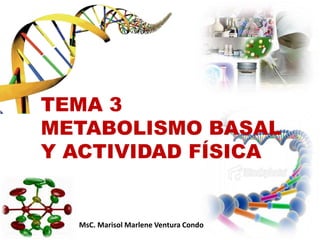 TEMA 3
METABOLISMO BASAL
Y ACTIVIDAD FÍSICA
MsC. Marisol Marlene Ventura Condo
 