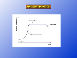 LA DINÁMICA DE CRECIMIENTO
 