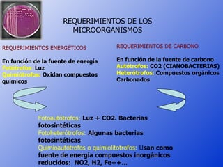 REQUERIMIENTOS DE LOS
                       MICROORGANISMOS

REQUERIMIENTOS ENERGÉTICOS            REQUERIMIENTOS DE CARBONO

En función de la fuente de energía    En función de la fuente de carbono
Fotótrofos: Luz                       Autótrofos: CO2 (CIANOBACTERIAS)
Quimiótrofos: Oxidan compuestos       Heterótrofos: Compuestos orgánicos
químicos                              Carbonados




            Fotoautótrofos: Luz + CO2. Bacterias
            fotosintéticas
            Fotoheterótrofos: Algunas bacterias
            fotosintéticas
            Quimioautótrofos o quimiolitotrofos: Usan como
            fuente de energía compuestos inorgánicos
            reducidos: NO2, H2, Fe++...
 