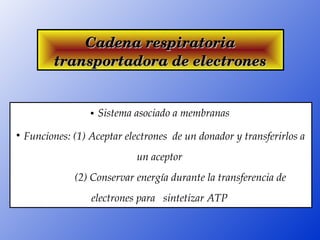 Cadena respiratoria 
           transportadora de electrones


                     Sistema asociado a membranas 

     Funciones: (1) Aceptar electrones  de un donador y transferirlos a 
                               un aceptor 
                  (2) Conservar energía durante la transferencia de 
                    electrones para   sintetizar ATP 
 