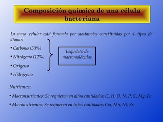 Composición química de una célula
                      bacteriana

La  masa  celular  está  formada  por  sustancias  constituidas  por  4  tipos  de 
átomos

     Carbono (50%)                   
                                     Esqueleto de 

     Nitrógeno (12%)                macromoléculas

     Oxígeno 

     Hidrógeno

Nutrientes:
 Macronutrientes: Se requieren en altas cantidades: C, H, O, N, P, S, Mg, Fe




 Micronutrientes: Se requieren en bajas cantidades: Cu, Mn, Ni, Zn

 