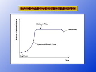 LA DINÁMICA DE CRECIMIENTO
 