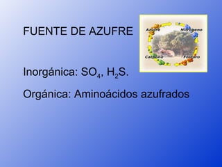 FUENTE DE AZUFRE


Inorgánica: SO4, H2S.
Orgánica: Aminoácidos azufrados
 