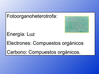 Fotoorganoheterotrofa:


Energía: Luz
Electrones: Compuestos orgánicos
Carbono: Compuestos orgánicos.
 