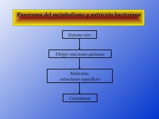 Panorama del metabolismo y nutrición bacteriana


                    Sistema vivo



              Dirigir reacciones químicas



                      Moléculas:
                estructuras específicas



                     Crecimiento
 