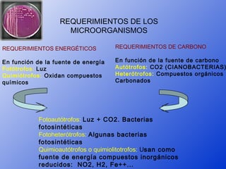 REQUERIMIENTOS DE LOS
                     MICROORGANISMOS

REQUERIMIENTOS ENERGÉTICOS           REQUERIMIENTOS DE CARBONO

En función de la fuente de energía   En función de la fuente de carbono
Fotótrofos: Luz                      Autótrofos: CO2 (CIANOBACTERIAS)
Quimiótrofos: Oxidan compuestos      Heterótrofos: Compuestos orgánicos
químicos                             Carbonados




            Fotoautótrofos: Luz + CO2. Bacterias
            fotosintéticas
            Fotoheterótrofos: Algunas bacterias
            fotosintéticas
            Quimioautótrofos o quimiolitotrofos: Usan como
            fuente de energía compuestos inorgánicos
            reducidos: NO2, H2, Fe++...
 