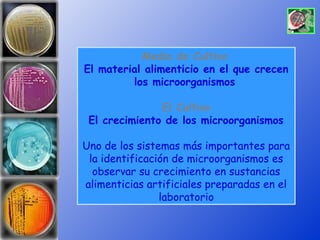 Medio de Cultivo
El material alimenticio en el que crecen
         los microorganismos

               El Cultivo
 El crecimiento de los microorganismos

Uno de los sistemas más importantes para
 la identificación de microorganismos es
  observar su crecimiento en sustancias
alimenticias artificiales preparadas en el
                laboratorio
 