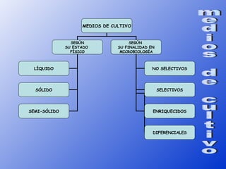 MEDIOS DE CULTIVO


                SEGÚN                SEGÚN
              SU ESTADO         SU FINALIDAD EN
                FÍSICO           MICROBIOLOGÍA



 LÍQUIDO                                      NO SELECTIVOS




  SÓLIDO                                          SELECTIVOS




SEMI-SÓLIDO                                   ENRIQUECIDOS




                                              DIFERENCIALES
 
