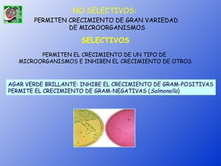 NO SELECTIVOS:
       PERMITEN CRECIMIENTO DE GRAN VARIEDAD
                DE MICROORGANISMOS

                     SELECTIVOS
         PERMITEN EL CRECIMIENTO DE UN TIPO DE
   MICROORGANISMOS E INHIBEN EL CRECIMIENTO DE OTROS



AGAR VERDE BRILLANTE: INHIBE EL CRECIMIENTO DE GRAM-POSITIVAS
PERMITE EL CRECIMIENTO DE GRAM-NEGATIVAS (Salmonella)
 