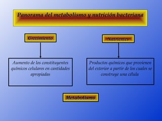 Panorama del metabolismo y nutrición bacteriana



         Crecimiento                             Nutrientes




 Aumento de los constituyentes        Productos químicos que provienen 
químicos celulares en cantidades      del exterior a partir de los cuales se 
          apropiadas                         construye una célula 




                              Metabolismo
 