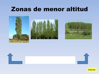 Zonas de menor altitud

RIBERAS DE LOS RÍOS
Interior

 