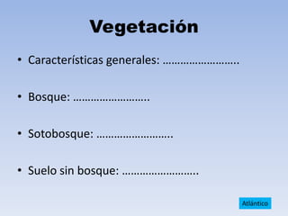 Vegetación
• Características generales: ……………………..
• Bosque: ……………………..
• Sotobosque: ……………………..

• Suelo sin bosque: ……………………..
Atlántico

 