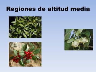 Regiones de altitud media

 